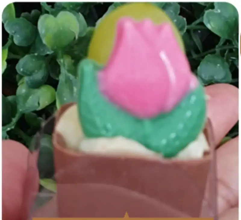 Quadradinho blenda — moça, tulipa de chocolate e uva Thompson